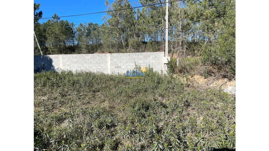 Quinta T3 para Venda em Castelo Branco Foto 13