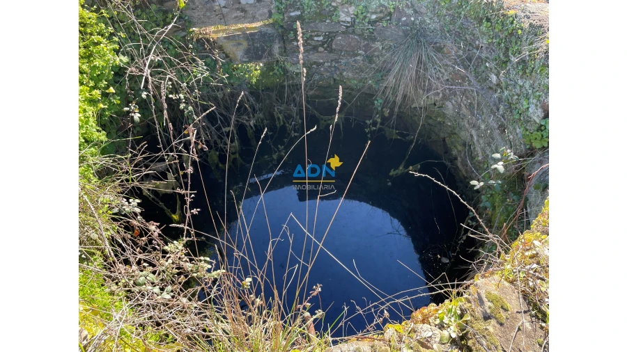 Quinta T3 para Venda em Castelo Branco Foto 4