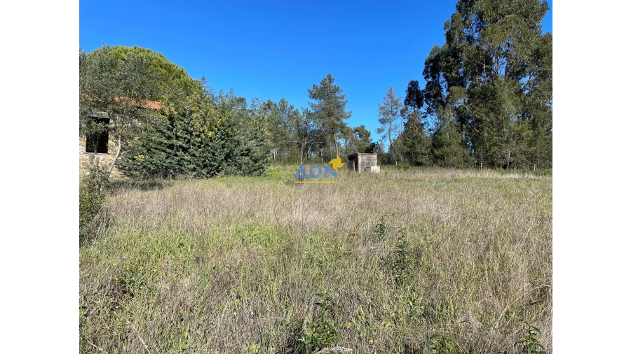 Quinta T3 para Venda em Castelo Branco Foto 6