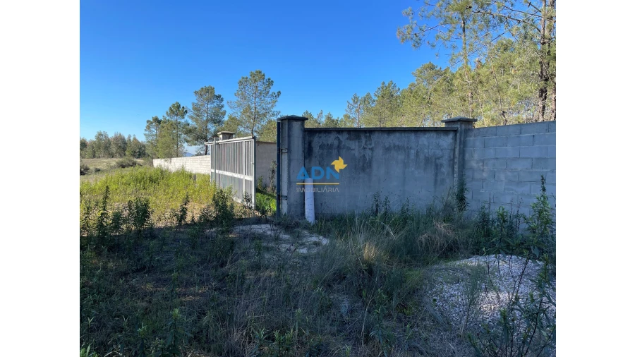 Quinta T3 para Venda em Castelo Branco Foto 23