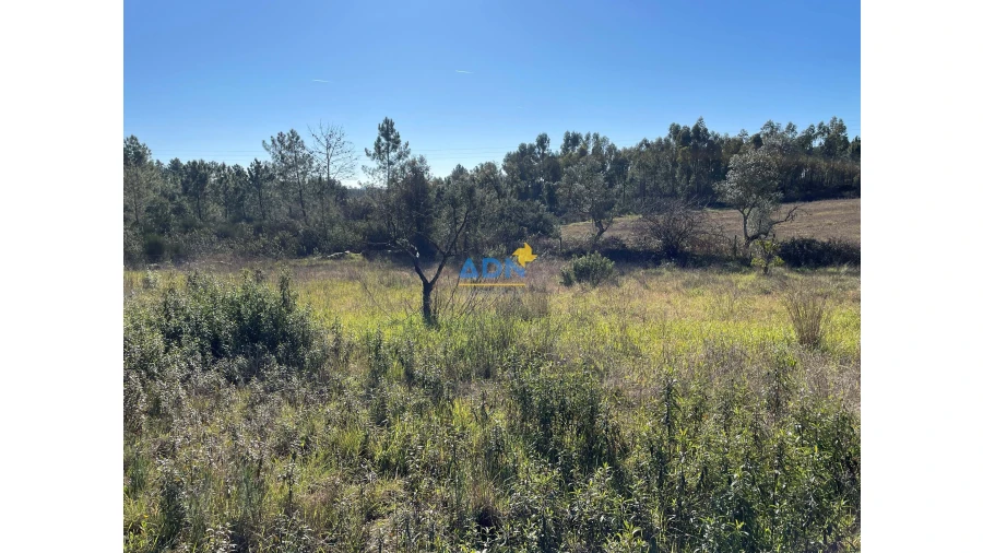 Quinta T3 para Venda em Castelo Branco Foto 10