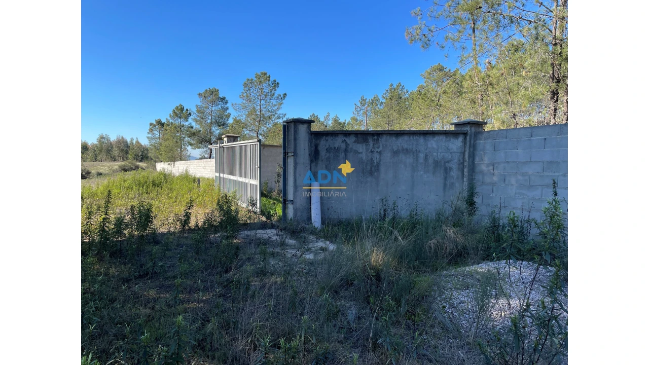 Quinta T3 para Venda em Castelo Branco Foto 23