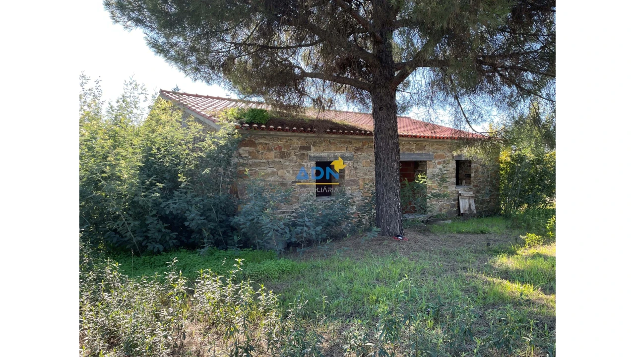 Quinta T3 para Venda em Castelo Branco Foto 14