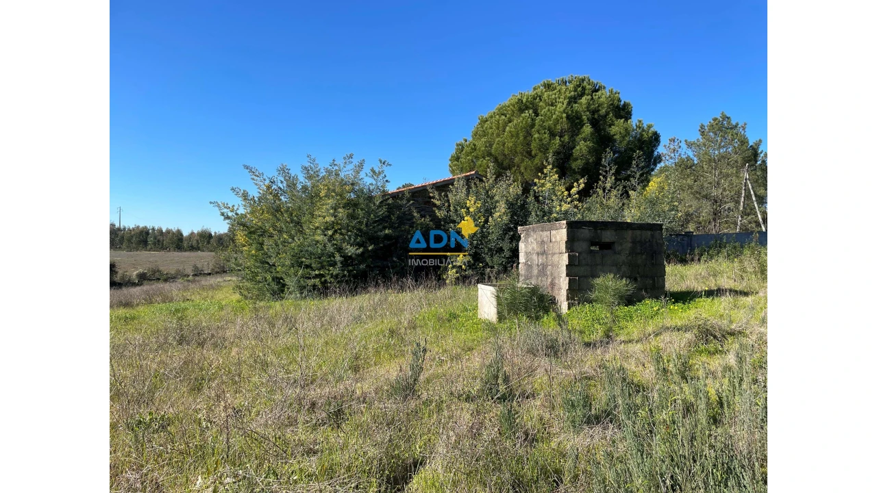 Quinta T3 para Venda em Castelo Branco Foto 8