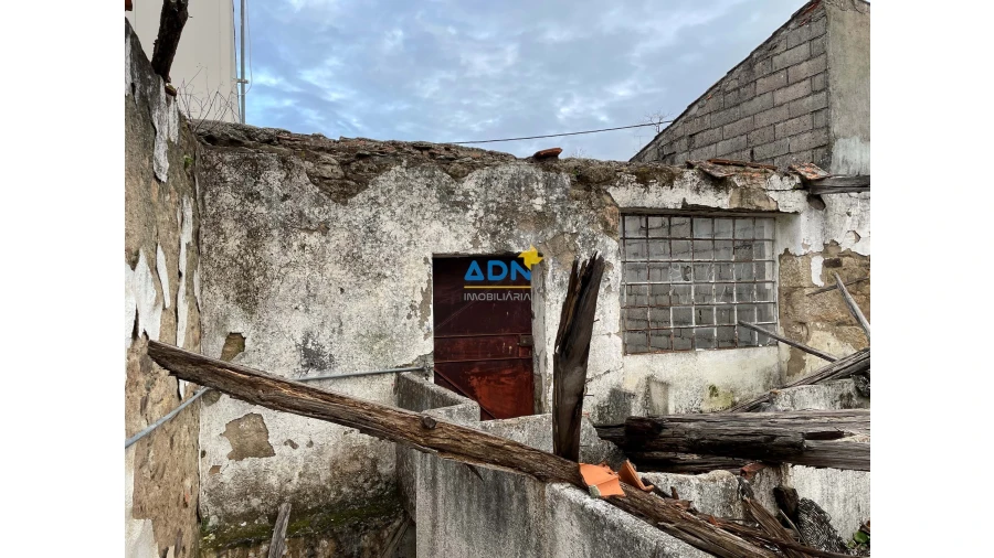 Terreno para Venda em Penamacor Foto 9