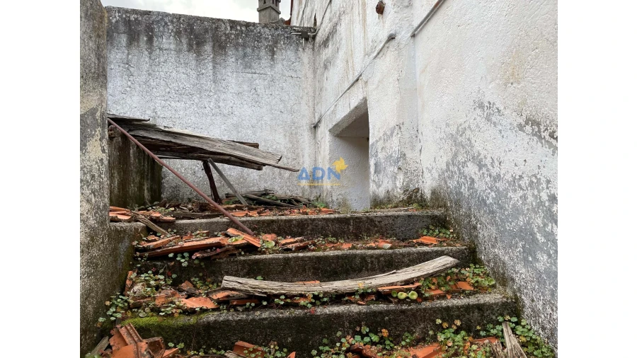 Terreno para Venda em Penamacor Foto 8