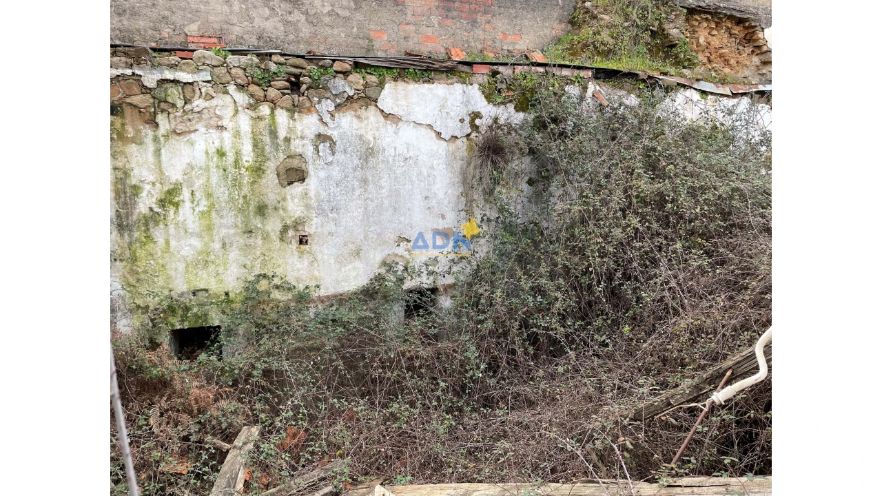 Terreno para Venda em Penamacor Foto 10