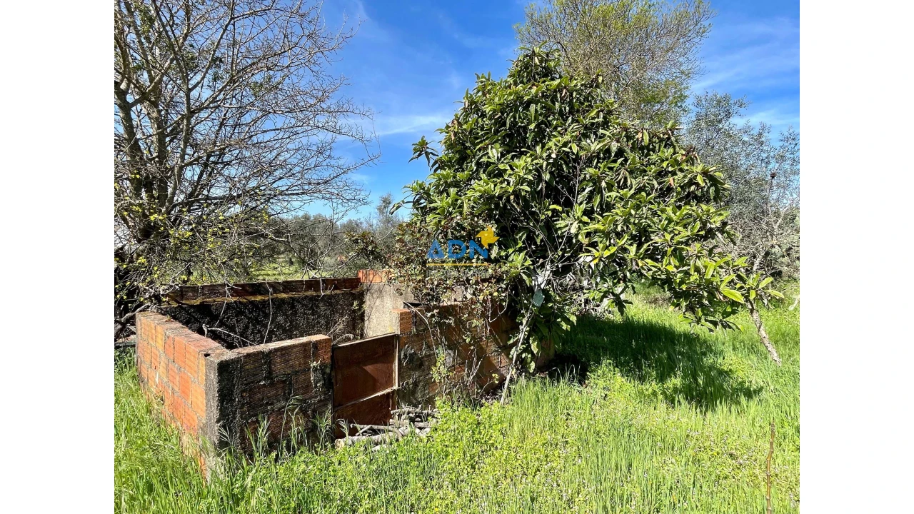 Terreno para Venda em Toulões Foto 9