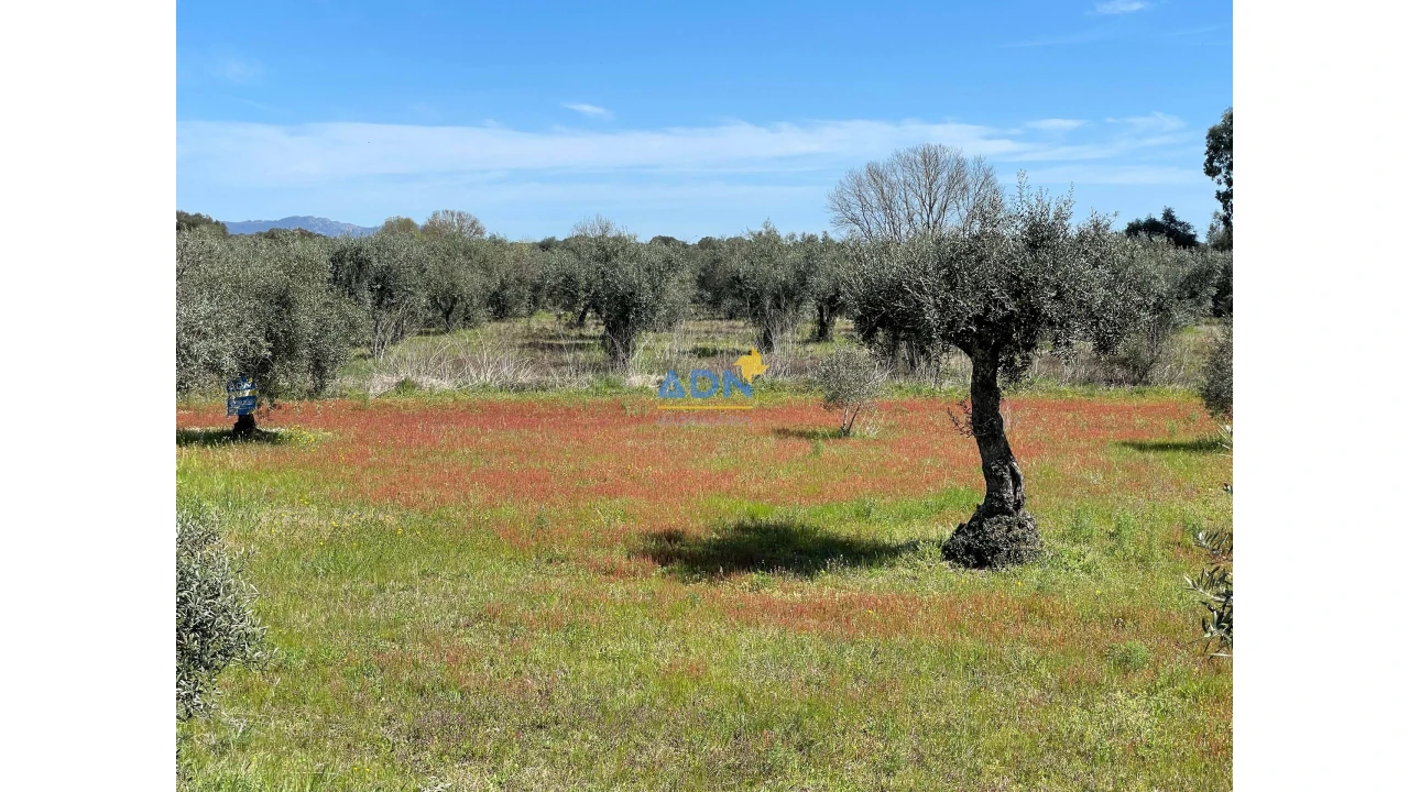 Terreno para Venda em Toulões Foto 20