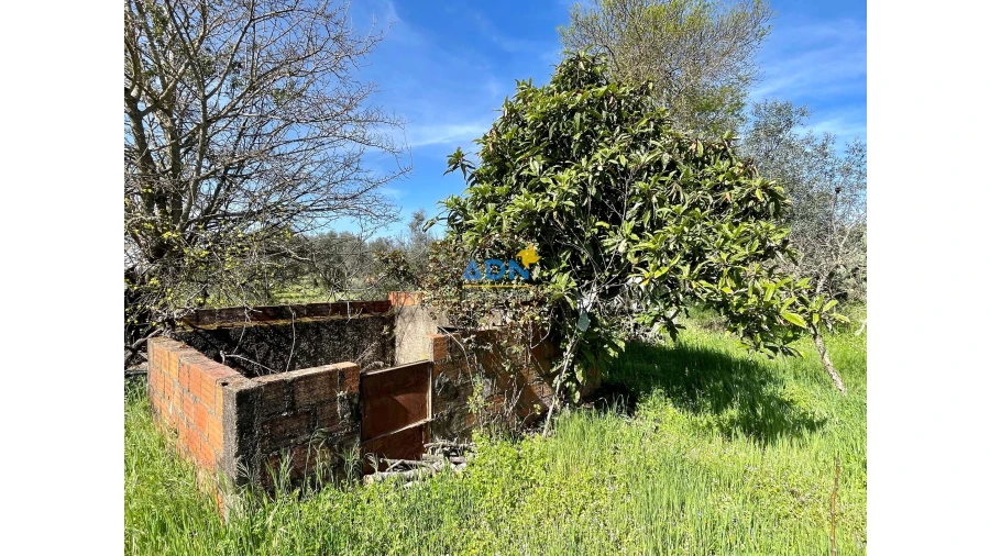 Terreno para Venda em Toulões Foto 9