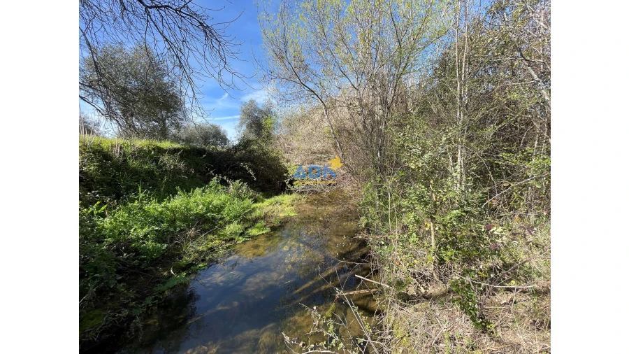 Terreno para Venda em Toulões Foto 17