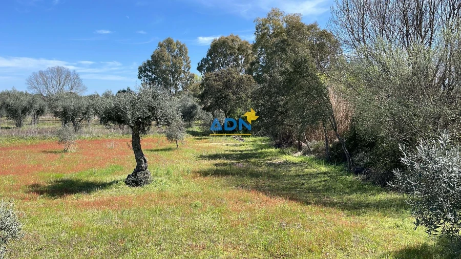 Terreno para Venda em Toulões Foto 19