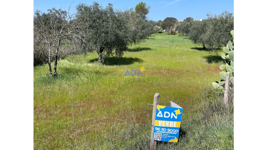 Terreno para Venda em Toulões Foto 13