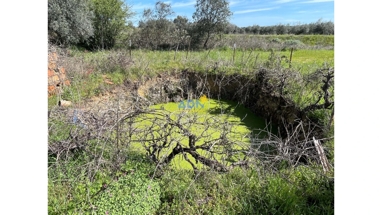 Terreno para Venda em Toulões Foto 10