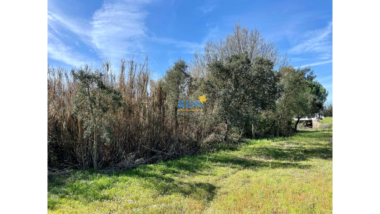 Terreno para Venda em Toulões Foto 15