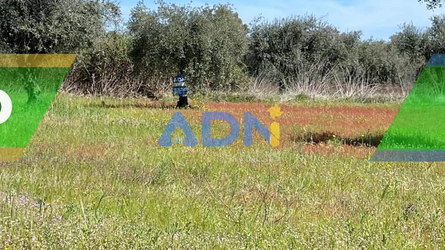 Terreno para Venda em Toulões