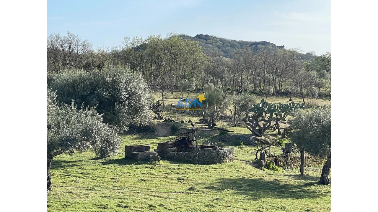 Quinta para Venda em Monsanto e Idanha-A-Velha Foto 5