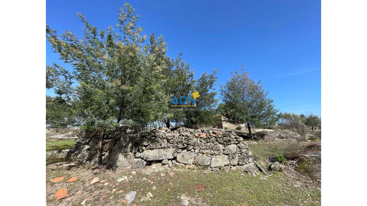 Quinta para Venda em Monsanto e Idanha-A-Velha Foto 6