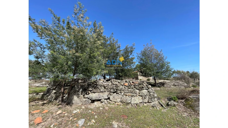 Quinta para Venda em Monsanto e Idanha-A-Velha Foto 6