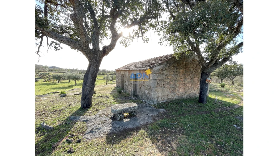 Quinta para Venda em Monsanto e Idanha-A-Velha Foto 4
