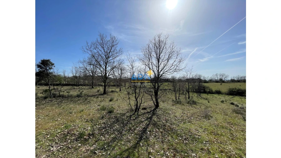 Quinta para Venda em Monsanto e Idanha-A-Velha Foto 7