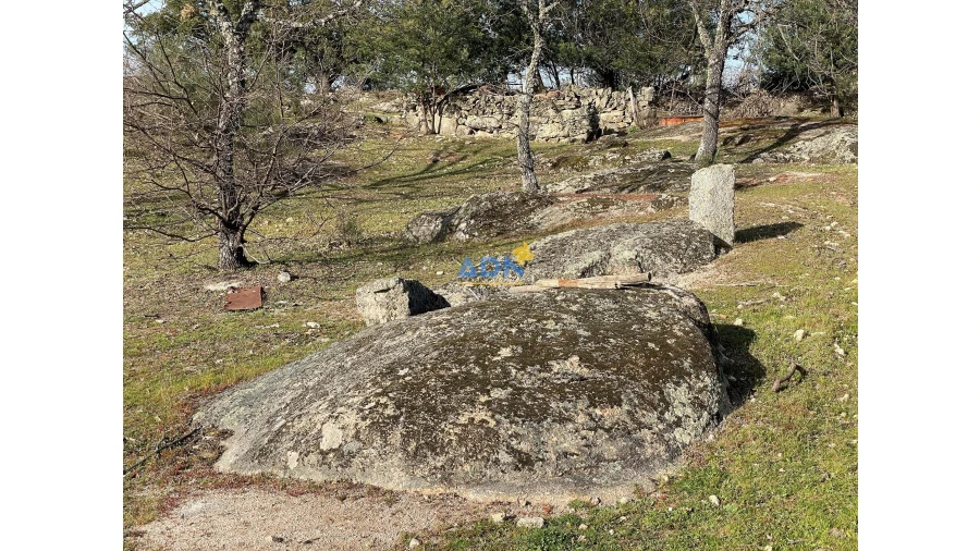Quinta para Venda em Monsanto e Idanha-A-Velha Foto 10