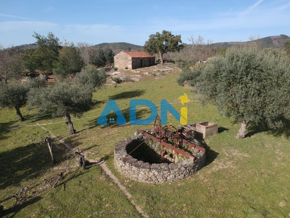 Quinta para Venda em Monsanto e Idanha-A-Velha Foto 1