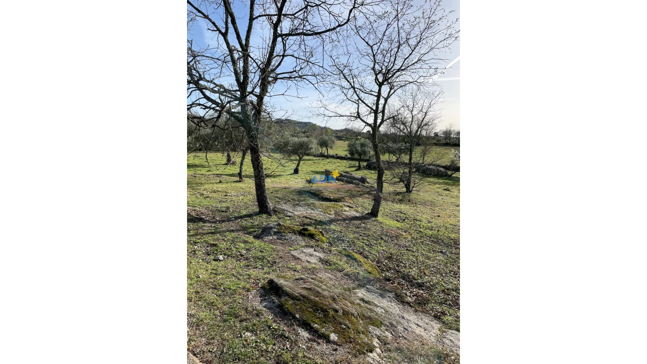 Quinta para Venda em Monsanto e Idanha-A-Velha Foto 8