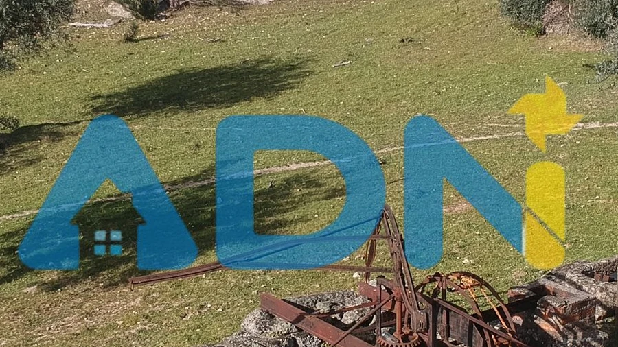 Quinta para Venda em Monsanto e Idanha-A-Velha