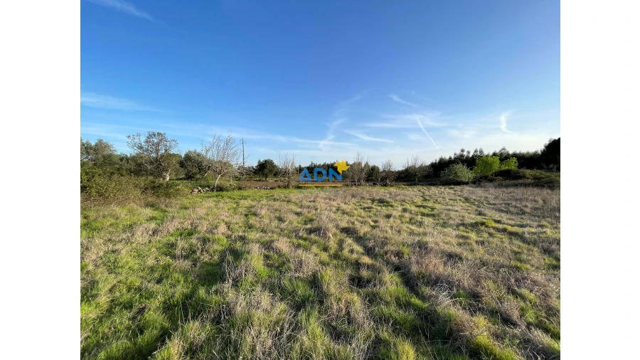 Terreno para Venda em Monsanto e Idanha-A-Velha Foto 3