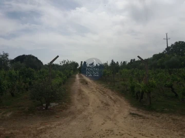 Terreno para Venda em Vale de Santarem