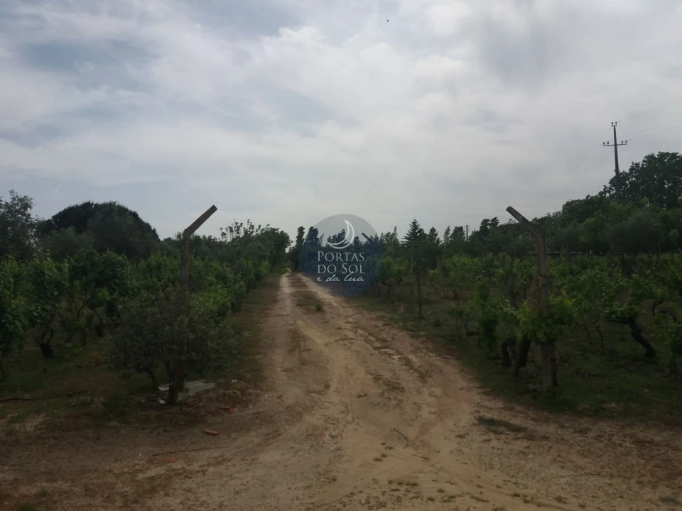 Terreno para Venda em Vale de Santarem Foto 1