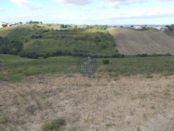 Terreno Agricola ou Rústico para Venda em Achete, Azoia de Baixo e Póvoa de Santarém