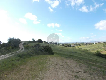 Terreno Agricola ou Rústico para Venda em Achete, Azoia de Baixo e Póvoa de Santarém