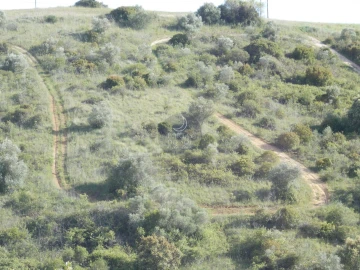 Terreno para Venda em Achete, Azoia de Baixo e Póvoa de Santarém