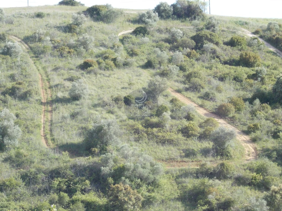 Terreno para Venda em Achete, Azoia de Baixo e Póvoa de Santarém Foto 1