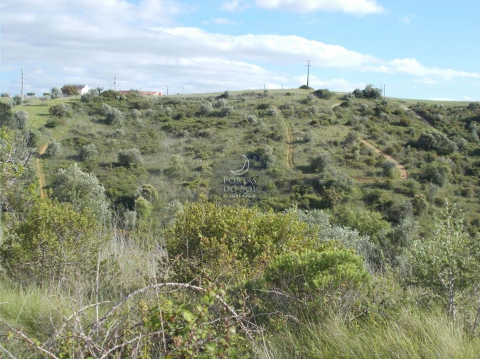 Terreno para Venda em Achete, Azoia de Baixo e Póvoa de Santarém Foto 2