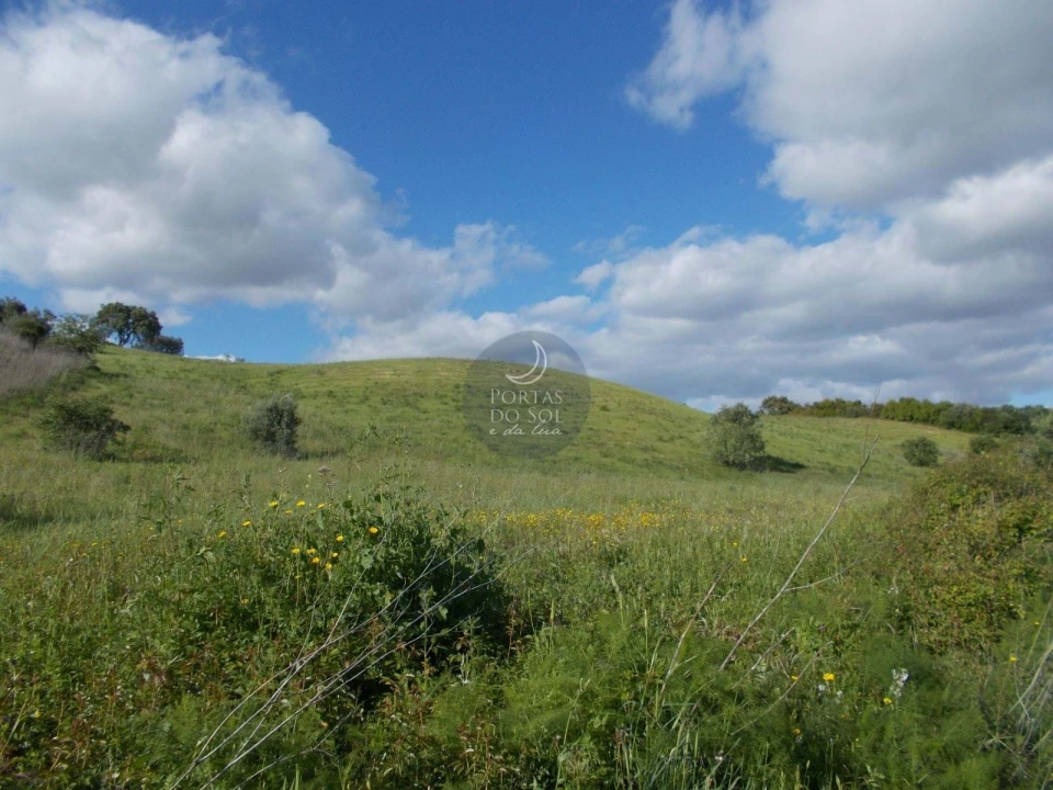Terreno Agricola ou Rústico para Venda em Achete, Azoia de Baixo e Póvoa de Santarém Foto 3