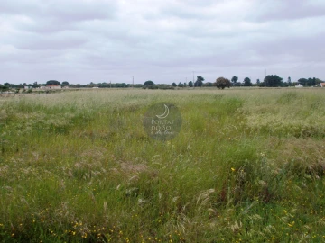 Terreno para Venda em Salvaterra de Magos e Foros de Salvaterra