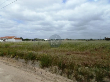 Terreno para Venda em Salvaterra de Magos e Foros de Salvaterra