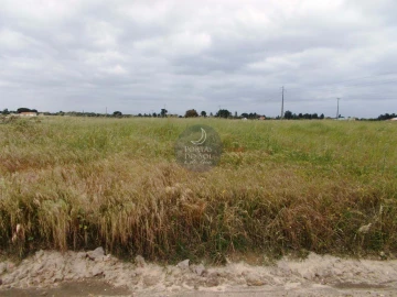 Terreno para Venda em Salvaterra de Magos e Foros de Salvaterra