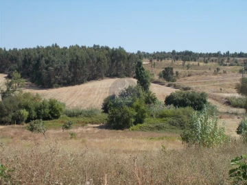 Terreno para Venda em Marvila, Ribeira Santarém, São Salvador, São Nicolau
