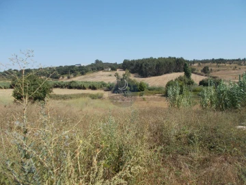 Terreno para Venda em Marvila, Ribeira Santarém, São Salvador, São Nicolau