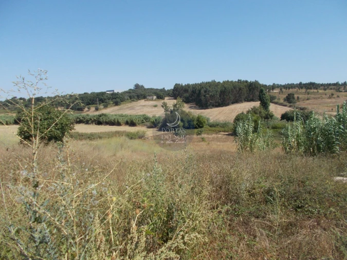 Terreno para Venda em Marvila, Ribeira Santarém, São Salvador, São Nicolau Foto 2
