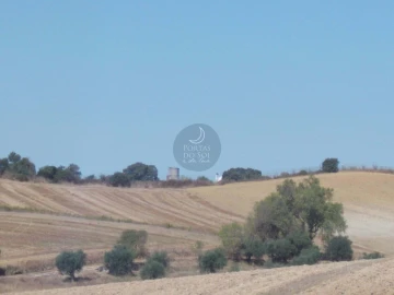 Terreno para Venda em Romeira e Várzea