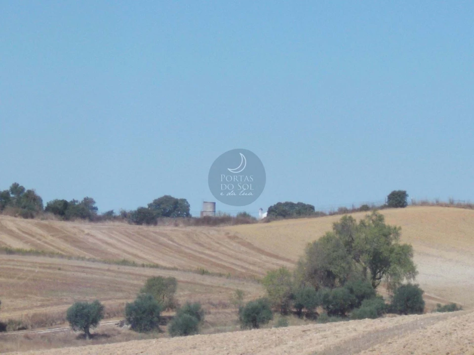 Terreno para Venda em Romeira e Várzea Foto 1