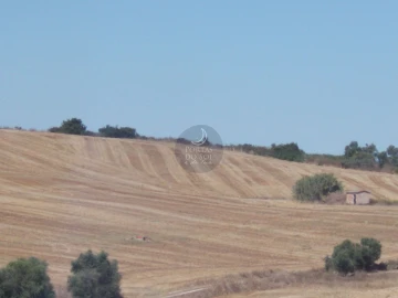 Terreno para Venda em Romeira e Várzea