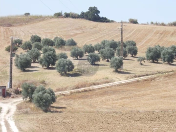 Terreno para Venda em Romeira e Várzea