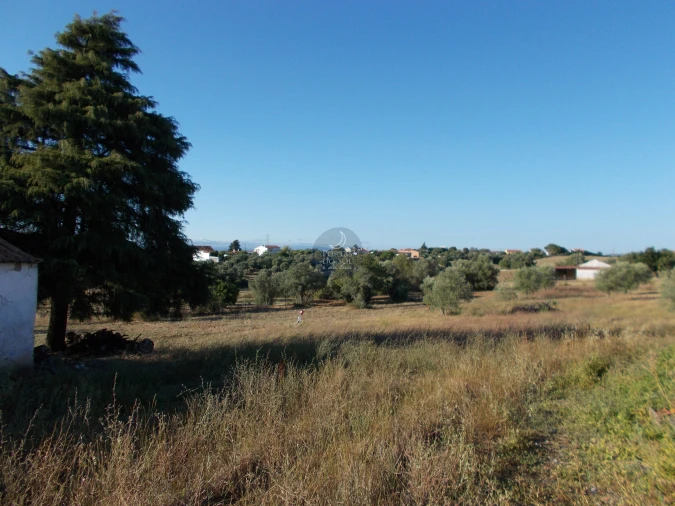 Moradia para Venda em Povoa da Isenta Foto 15