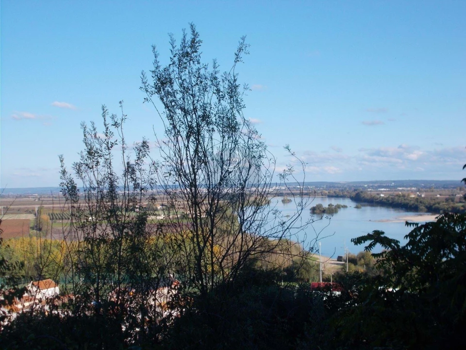 Terreno para Venda em Marvila, Ribeira Santarém, São Salvador, São Nicolau Foto 1